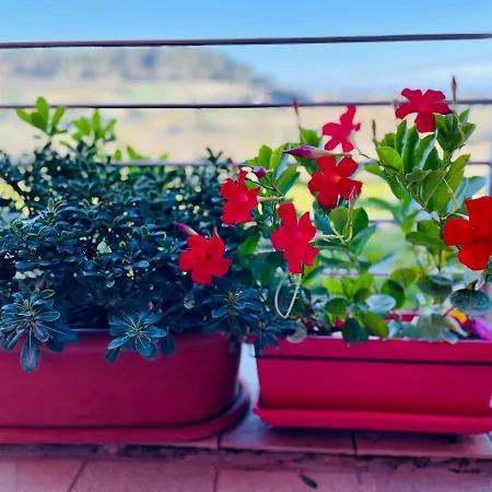 Apartamento Casa Rafanelli