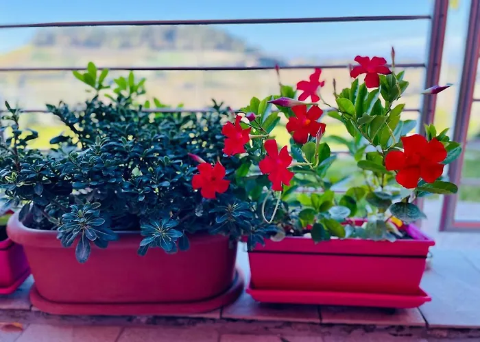 Apartment Casa Rafanelli